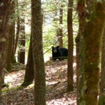 image05